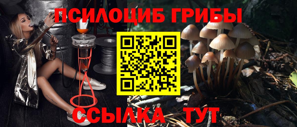 Ейск  Псилоцибиновые грибы ЛСД  Вход с VPN 